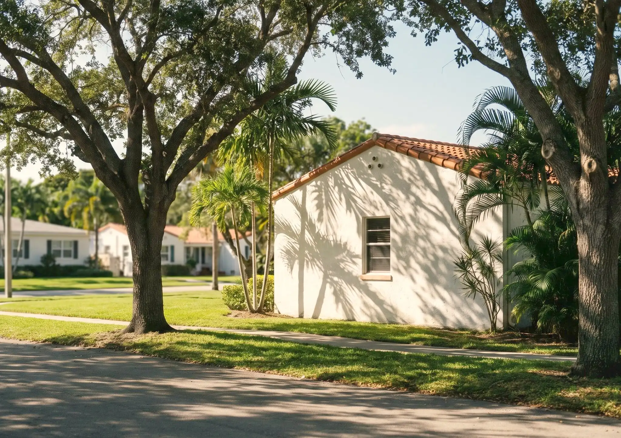 Illustrative image: A tree-lined Miami street of older homes (no skyline)